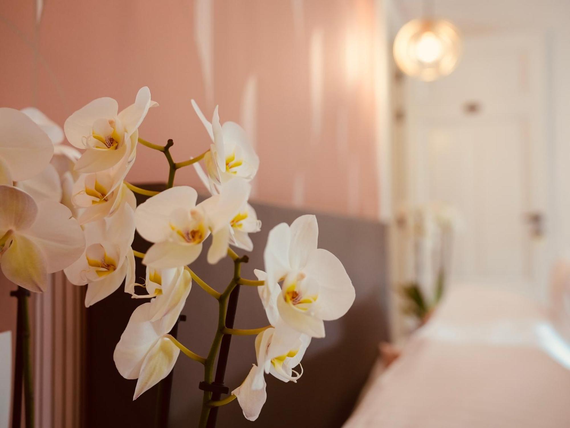 L'Amarante Chambres D'Hotes Ou Gite Citadin Theux Εξωτερικό φωτογραφία